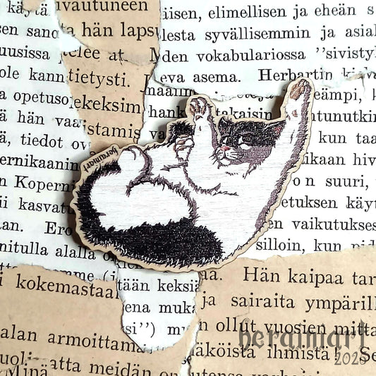 Arttu -kissa -magneetti