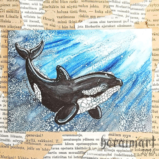 Miekkavalas -postikortti