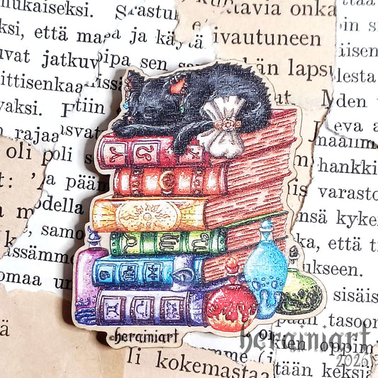 Sateenkaari -magneetti