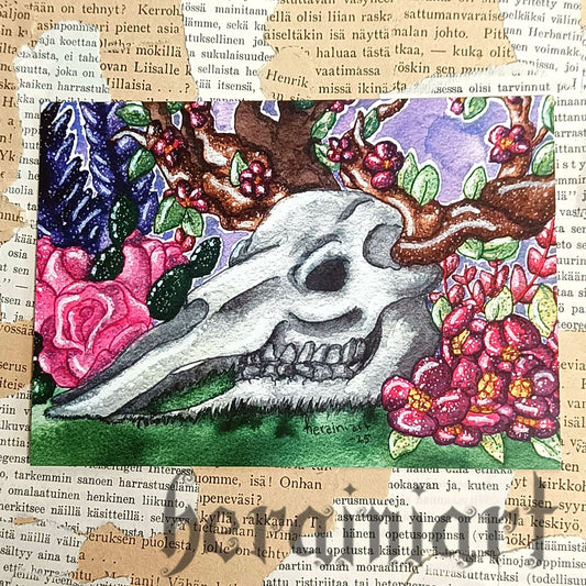 Hiiden hirvi 4 -postikortti