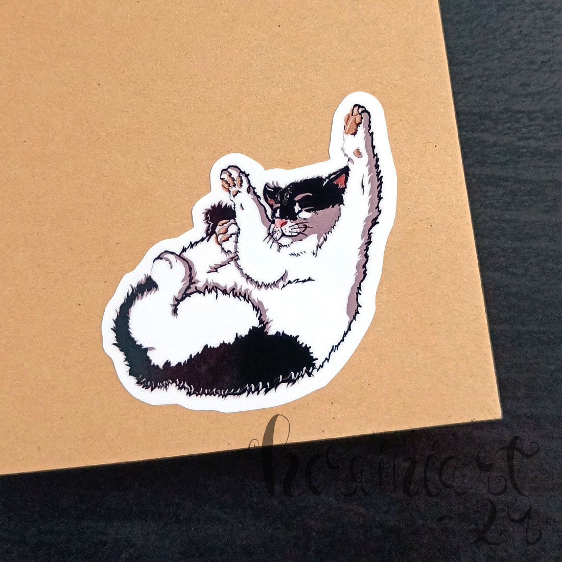 Kissafani -tuotepaketti